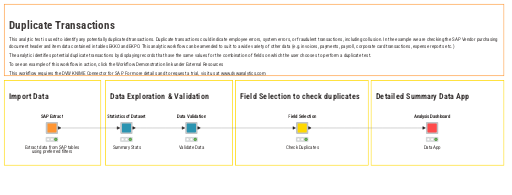 Audit SAP Duplicate Transactions — NodePit